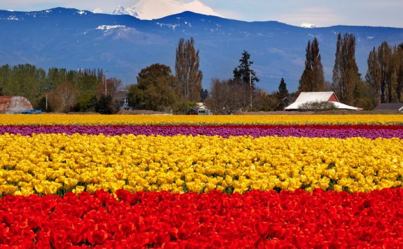 20 Colorado Mountain Towns