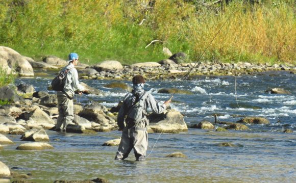 Fly fishing in the Animas