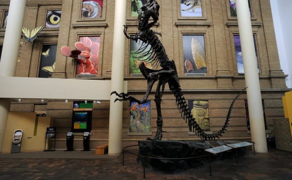 5: Denver Museum of Nature and