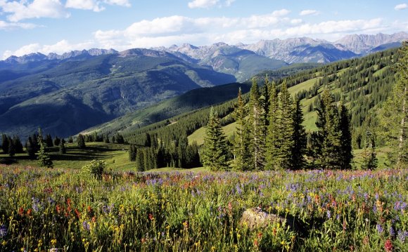 Hiking and biking in the high