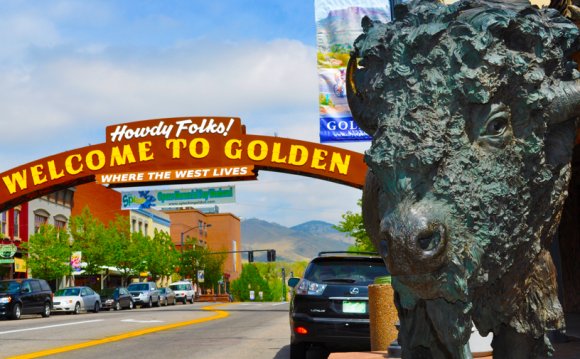 A buffalo statute and large