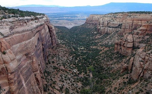 #23 Colorado USA Tourist