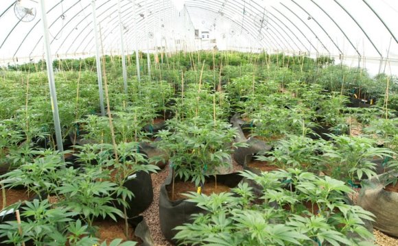 Stanley brothers grow facility