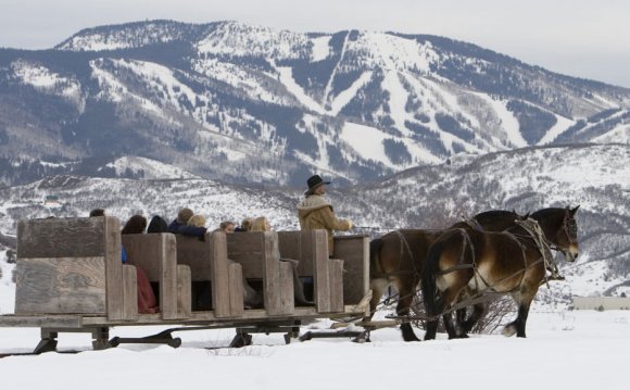 Horse-Drawn Sleigh Rides