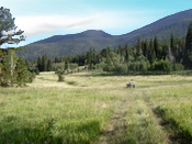 Allenspark Scenery, Colorado