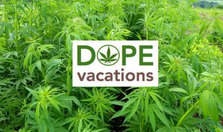 Are Pot Vacations next Big Thing?