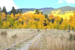 Grass expands over a railway track from 1878 at Kenosha Pass.