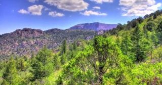 Photos: Ten most useful places to see Colorado fall shade