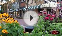 Boulder, Colorado Stock Footage ~ Grateful Dawg