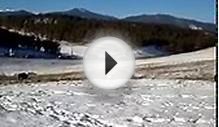 Denver Bison Herd | Colorado Attractions | Colorado Vacations