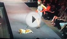 Mutts & Models 2015 | PetAid Colorado Video