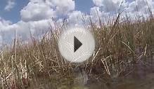 Underwater GoPro, Teller Lake #5 Boulder, Colorado