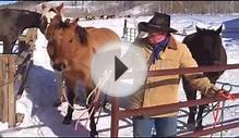 Winter Horseback Riding Vacations In Colorado - The Home Ranch