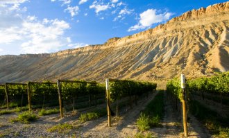 Vineyards in Colorado wine nation